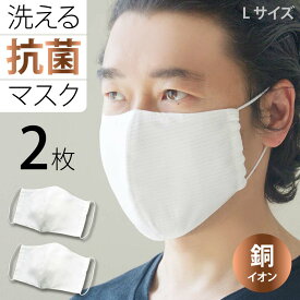 【 公式 】マスク 日本製 洗える 銅マスク 抗菌 日本製 大きいサイズ 立体型 (Lサイズ 2枚 入り ) 薄い 銅イオン 速乾 花粉 ホコリ ( シンプルな光沢ストライプ 2枚 セット )