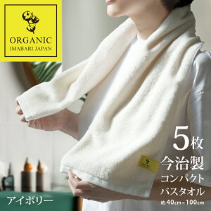 y LINEo^300~OFF z^I XoX^I  oX^I I[KjbN RpNg X  oX (100×40cm) Mtg v[g xr[ z ܂Ƃߔ 40cm  ӂӂ 