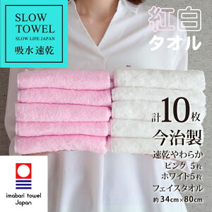 ^I g^I tFCX^I  炩 tFCX sN 5 zCg 5 v10Zbg (1479~) z SDGs 80% Đ|GXe20% tFCX 34×80cm Mtg v[g 