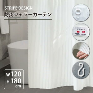 y LINEo^300~OFF zh V[J[e 180 XgCvD ( 120cm 180cm ) 1 AC{[ zedl   ze zeX^C Ԏd؂ J[e