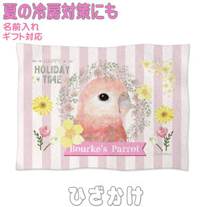 ALNTCR ObY G  Ђ| \tguPbg h΍ GAR΍ ItBX Q ybgp Mtg v[g 킢   O  Q Ԃ