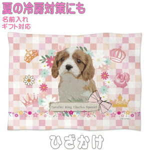 LoA Ck  av[g Mtg ObY G Ђ| \tguPbg Q ybgp pIȃv[g   O  Q Ԃpѕz g ԗp