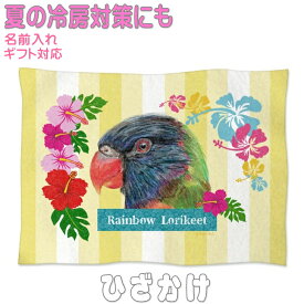 ゴシキセイガイインコ グッズ 雑貨 ひざ掛け ソフトブランケット お昼寝 ペット用 ギフト 実用的なプレゼント 鳥 名入れ 名前入れ 文字入れ 寝具 赤ちゃん用毛布 暖かい 車用 出産祝い おしゃれ かわいい KYAPIArt きゃぴあーと