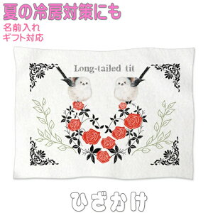 V}GiK ܂Ȃ Mtg ObY G Ђ| \tguPbg h΍ GAR΍ ItBX Q ybg 킢   O  Q Ԃp ѕz ԗp 