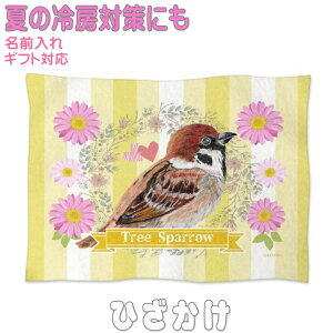 XY  ObY G Ђ| \tguPbg h΍ GAR΍ ItBX Q ybgp Mtg v[g 킢   O  Q Ԃpѕz g