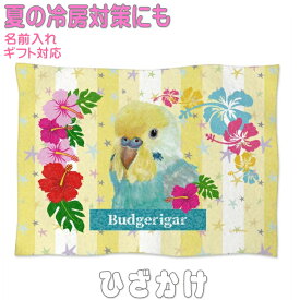 セキセイインコ パステルレインボー グッズ 雑貨 ひざ掛け ソフトブランケット お昼寝 ペット用 ギフト 実用的なプレゼント 鳥 名入れ 名前入れ 文字入れ 寝具 赤ちゃん用毛布 暖かい 車用 出産祝い おしゃれ かわいい KYAPIArt きゃぴあーと