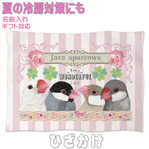 ` ObY G Ђ| \tguPbg h΍ GAR΍ ItBX Q ybgp Mtg v[g 킢   O  Q Ԃpѕz g