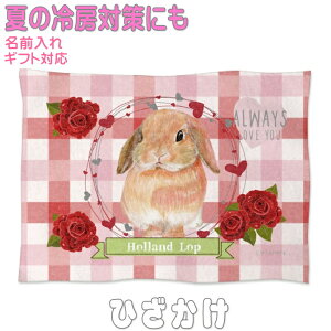 たれ耳 うさぎ ウサギ 兎 誕生日プレゼント ギフト グッズ 雑貨 ひざ掛け ソフトブランケット お昼寝 ペット用 実用的なプレゼント 鳥 名入れ 名前入れ 文字入れ 寝具 赤ちゃん用毛布 暖かい