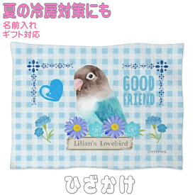 鳥 ボタンインコ 誕生日プレゼント ギフト グッズ 雑貨 ひざ掛け ソフトブランケット お昼寝 ペット用 ギフト 実用的 名入れ 名前入れ 文字入れ 寝具 赤ちゃん 毛布 暖かい 車用 出産祝い おしゃれ かわいい KYAPIArt きゃぴあーと