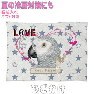 E ObY G Ђ| \tguPbg h΍ GAR΍ ItBX Q ybgp Mtg v[g 킢   O  Q Ԃpѕz g 