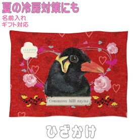 九官鳥 グッズ 雑貨 ひざ掛け ソフトブランケット お昼寝 ペット用 ギフト 実用的なプレゼント 鳥 名入れ 名前入れ 文字入れ 寝具 赤ちゃん用毛布 暖かい 車用 出産祝い おしゃれ かわいい KYAPIArt きゃぴあーと キュウカンチョウ きゅうかんちょう