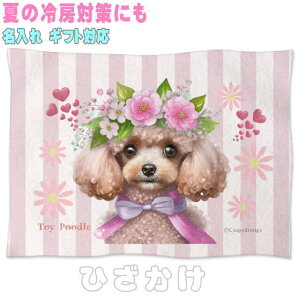 gCv[h Ck  a v[g Mtg ObY G Ђ| \tguPbg Q ybgp pIȃv[g  O  Q Ԃpѕz g ԗp