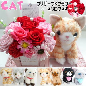 L  ԑ t[Mtg 蕨 Mtg  vU[uht[ v[g Mtg ʂ LD t[AWg o KN av[g j җj j