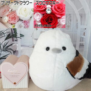 ܂Ȃ V}GiK  Mtg vU[uht[ ʂ t[AWg av[g j LO t[Mtg 蕨 Mtg }XRbg ObY 