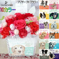 楽天市場】マルチーズ 花の通販