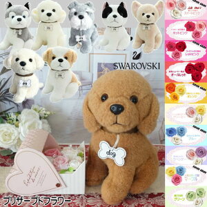 gCv[h ` ViEU[ }`[Y ueA V[Y[ nXL[  ʂ ԑ  t[AWg a LO j Џj vU[uht[ 