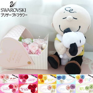 Snoopy Xk[s[ `[[uE t[Mtg ԃMtg vU[uht[  蕨 w֒u Os[ ONbV w O Mtg v[g ԑ t[A