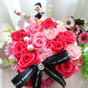 fBYj[ hih fCW[ LO j  Џj ސEj LO v|[Y vU[uht[ ԑ t[AWg t[Mtg  eւ̑