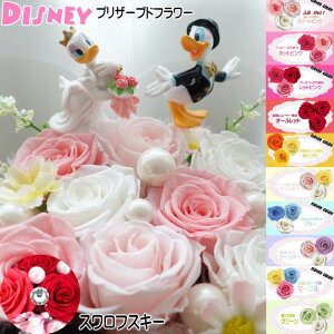 j fBYj[ hih_bN  Џj ސEj LO v|[Y vU[uht[ ԑ t[AWg t[Mtg fCW[_bN ⍥ 