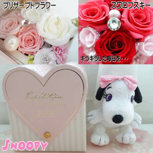 x Xk[s[ t[Mtg ԃMtg vU[uht[  蕨 w֒u Os[ ONbV Mtg v[g w O ԑ t[AWg o K