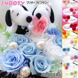 Xk[s[ vU[uht[ ԑ Џj ސEj  LO j v|[Y v[g t[AWg t[Mtg Snoopy EFfBO D j 