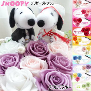 Xk[s[ v[g  Mtg vU[uht[ ԑ t[AWg t[Mtg av[g j 킢 ObY Snoopy EFfBO j Џj 