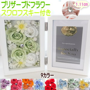  vU[uht[ dp uU[ht[ ybg  ʔv   蕨  ͂Ȃ ʐ^ KX  O[ v[g tHgt[ lF XtXL