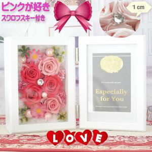 vU[uht[ tHgt[ ʐ^  sND v[g KX ؐ  ԑ t[AWg t[Mtg ObY d jd LO Vzj ij 