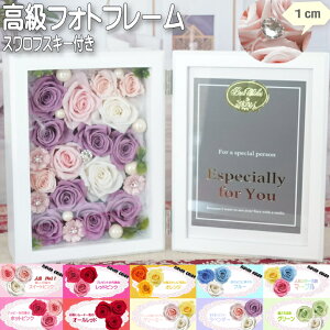 vU[uht[ ʐ^ 2L nKLTCYΉ ͂Ȃ tHgt[  uU[ht[ {bNXMtg ԑ t[AWg t[Mtg o KN