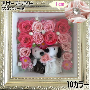 Xk[s[ LO  ⍥ v|[Y 蕨 v[g j ԑ  Mtg t[Mtg vU[uht[ t[ {bNXAW 킢 