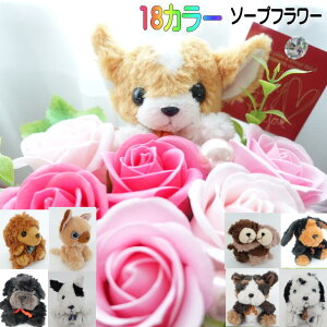 av[g ̓ t[Mtg  L xA  F \[vt[ v[g ԑ t[AWg o KN ObY gCv[h ` pO ~j`A_bNX 