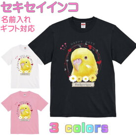 セキセイインコ ルチノー Tシャツ かわいい ギフト 誕生日 プレゼント 鳥グッズ お祝い 名入れ 名前入れ 文字入れ 対応商品 還暦祝い 動物 鳥好き インコグッズ 洋服 レディース メンズ ホワイト ブラック ピンク 白 黒 記念品 KYAPIArt きゃぴあーと