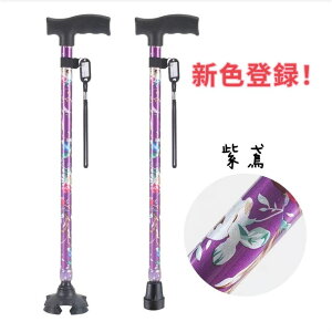 yGfڃfz   l_ 4_     y Lk s⏕ fB[X p XebL  ܂ݕs  Lk^   hV̓ 