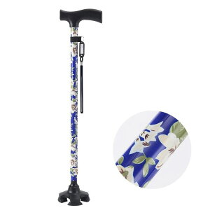 yGfڃfz   l_ 4_     y Lk s⏕ fB[X p XebL  ܂ݕs  Lk^   hV̓ 