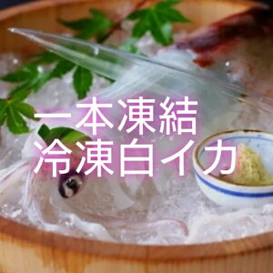 yYCJ700gi4`6jz qg I yY 蕨 hg  VCJ 