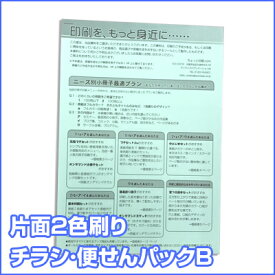 【片面2色刷り】チラシ 便せんパック B 800枚（印刷 オリジナル デザイン イラスト 販促 配布 チラシ フライヤー）