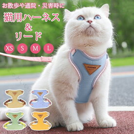 猫 ハーネス 胴輪 抜けない ダブルロック リード メッシュ猫ハーネス 猫用 ネコ キャット ねこ 小型犬 かわいい お出かけ おしゃれ 散歩 外出 通院 災害 避難 蒸れない ペット 服 簡単脱