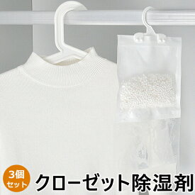 クローゼット除湿剤 3個入り 160g 除湿 カラリノ 除湿剤 クローゼット タンス 吊り下げ ハンガータイプ タンス クローゼット用 押し入れ 吊るす 服 洋服 キッチン 洗面所 湿気取り ジメジメ 梅雨 カビ 対策 乾燥剤 防カビ トイレ 湿気