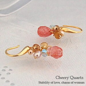 y[֑z`F[NH[ĉsAX yXgx[sNz fB[XsAX CO sAX tbN hbv  VR S[h WG[ ANZT[ G