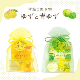 柚子の香り 入浴剤ギフト 【 オーガンジー袋入り ゆず湯バスギフト ／ ゆず・青ゆず 】 入浴料 プレゼント プチギフト 贈り物 大口 大量 まとめ買い ご挨拶 粗品 ノベルティ 景品 記念品 贈答品 お礼 お返し 手土産 ごあいさつ 柚子湯 実用的 冬至 もらって嬉しい 喜ばれる