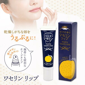 y[֑Ήzgbh Zbv^䂸̍iFj Mtg v[g v`Mtg i eRX тPA ێN[ yY yY Ƃ ق̋C