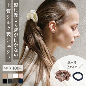選べる8色x2種類 【 シルク 100％ ヘアゴム シュシュ / ヘアアクセサリー 】 跡がつかない 髪留め 髪飾り シルク製品 人気 大人 キッズ 子供用 かわいい 可愛い おしゃれ 高級 小さめ 太め 睡眠 ファッション 結婚式 お呼ばれ セット プチギフト ギフト プレゼント 贈り物