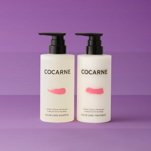 y15%OFFN[|zRJl J[PAVv[Eg[gg Zbg 400ml/390g Ki Vv[Eg[ggZbg e lߑւ {g Y eꔄ Tꔄi 