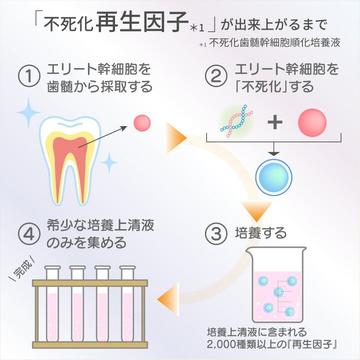 楽天市場】ダーウィン バイオリプロ FK チャージ 1箱 30粒 