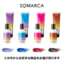 SOMARCA ソマルカ カラーシャンプー・カラーチャージ 2点セット 150ml/130g 正規品 カラーシャンプー カラートリートメント 大容量 詰め替え ボトル メンズ 美容室専売 サロン専売品 匂い 洗い流す 洗い流さない 髪質改善