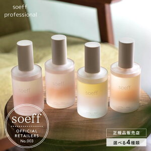 _9%OFFN[|^ soeff \t ICCZ 100ml ؘ@/؍/sA Ki wAIC 􂢗Ȃ X^CO IC 􂢗Ȃg[gg Y eꔄ Tꔄi 