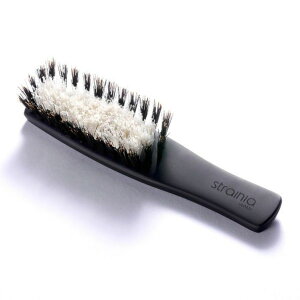 Xg[jA VNPAuV strainia