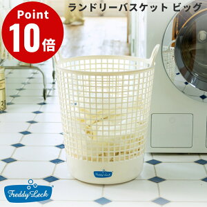 FREDDY LECK h[oXPbg rbO tfB bN 󂩂   􂢕 AR 25% hCc k FL-219  Vv V { Y h[{bNX