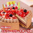 誕生日ケーキ 母の日 チョコレート スイーツ 飾り 送料無料 4号 5号 プレゼント ギフト バースデー 2人 3人用 4人用 生チョコ プレミアムミルクレープケーキ