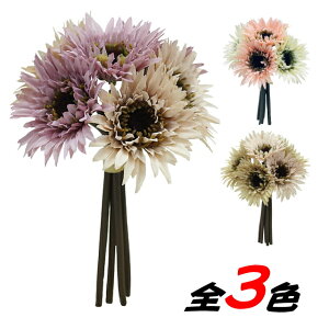 K[xoh@i13jPEACH/i19jPUCE/i20jTAN@@@@@@@@@@ԍ AW ޗ   | G   fBXvC fR[V nhCh Ntg A[g 